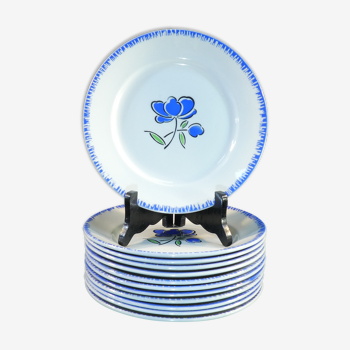 12 assiettes plates badonviller décor fleur bleu no digoin nº1