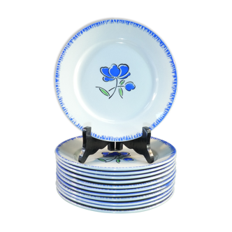 12 flat plates badonviller décor blue flower no digoin nº1