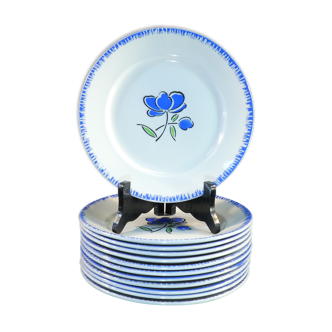 12 assiettes plates badonviller décor fleur bleu no digoin nº1