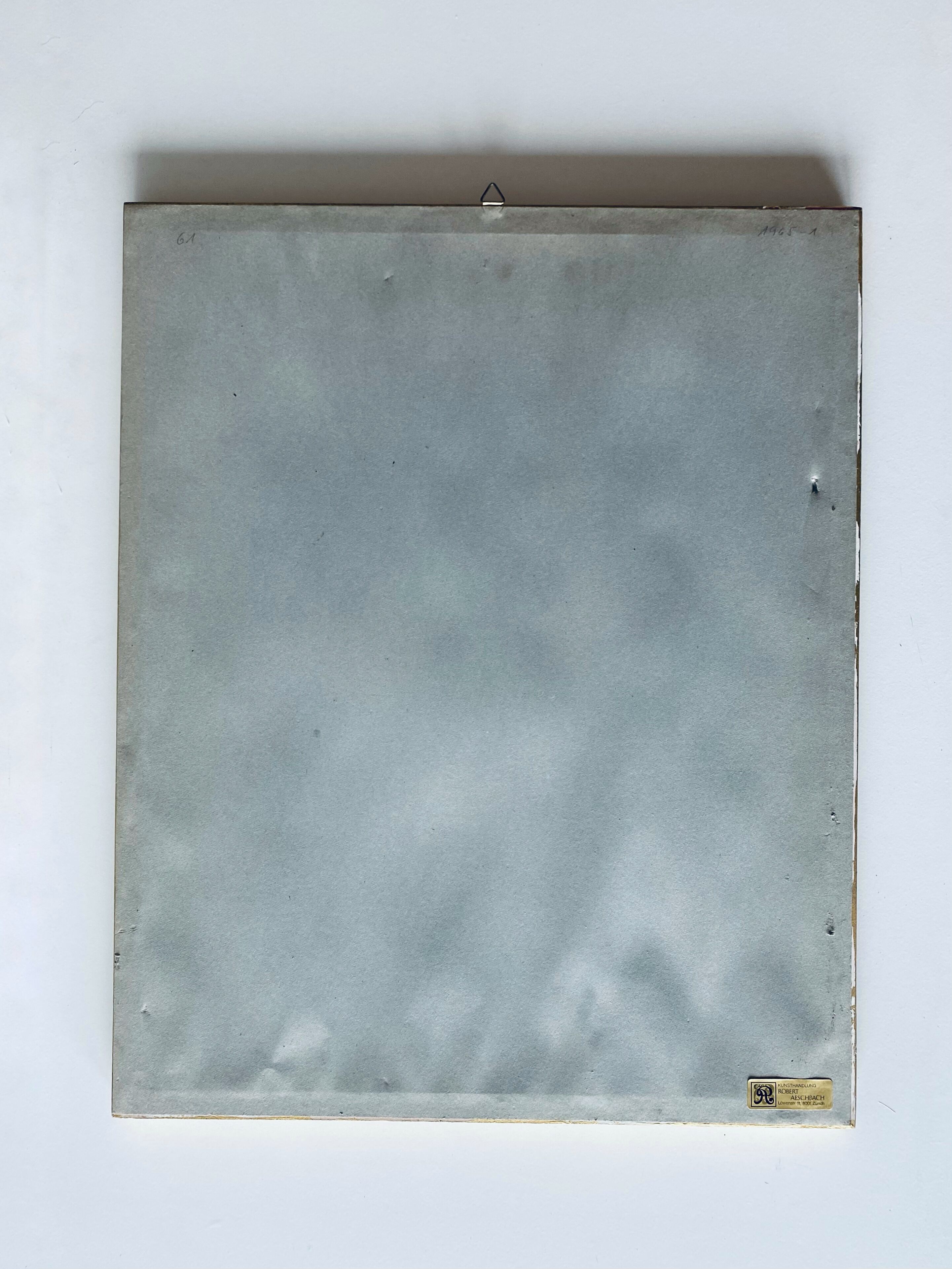 Botanical engraving framed