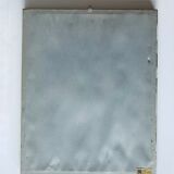 Botanical engraving framed