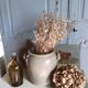 Old grey sandstone pot