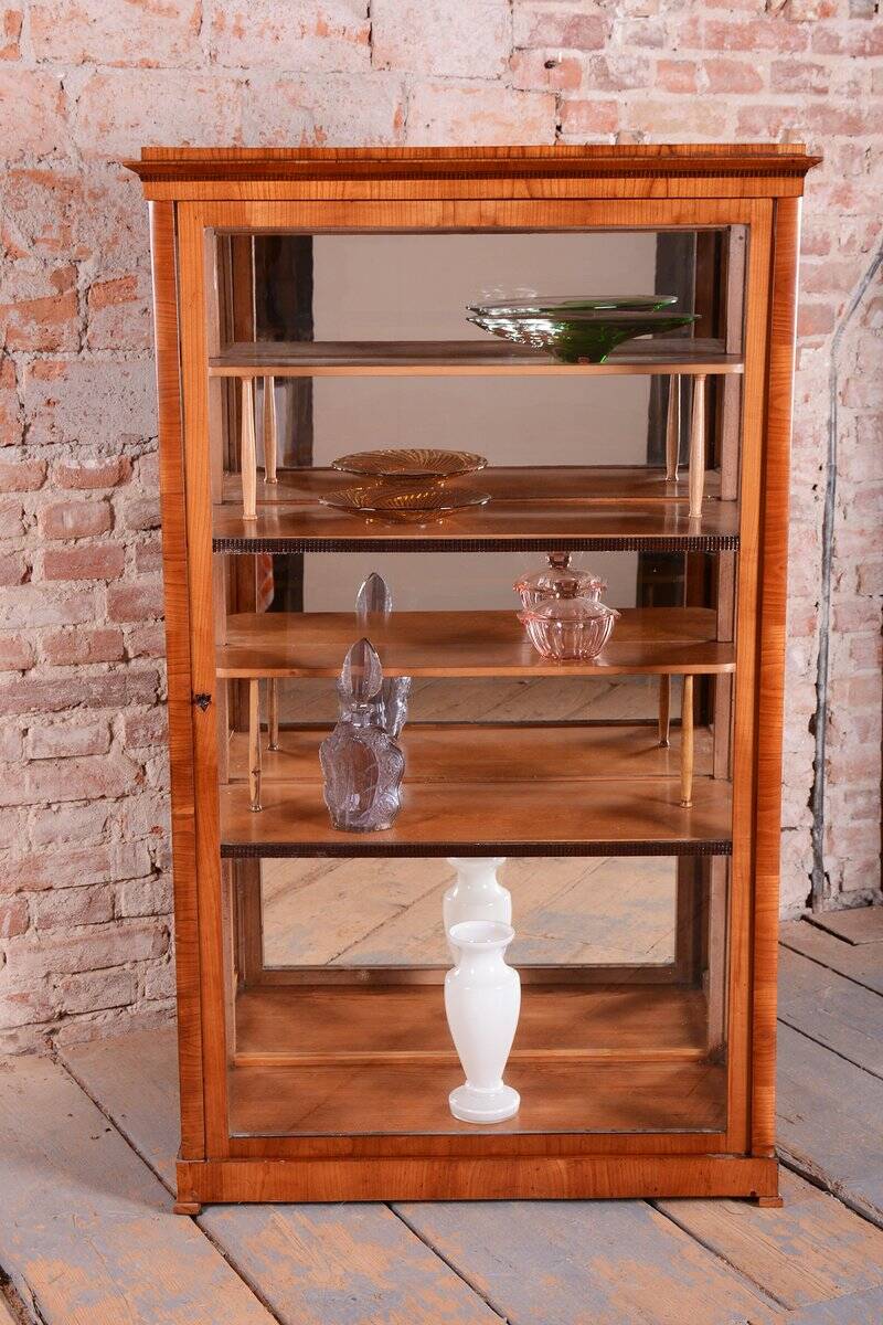 Antique Biedermeier Display Cabinet in Spruce, 1830s