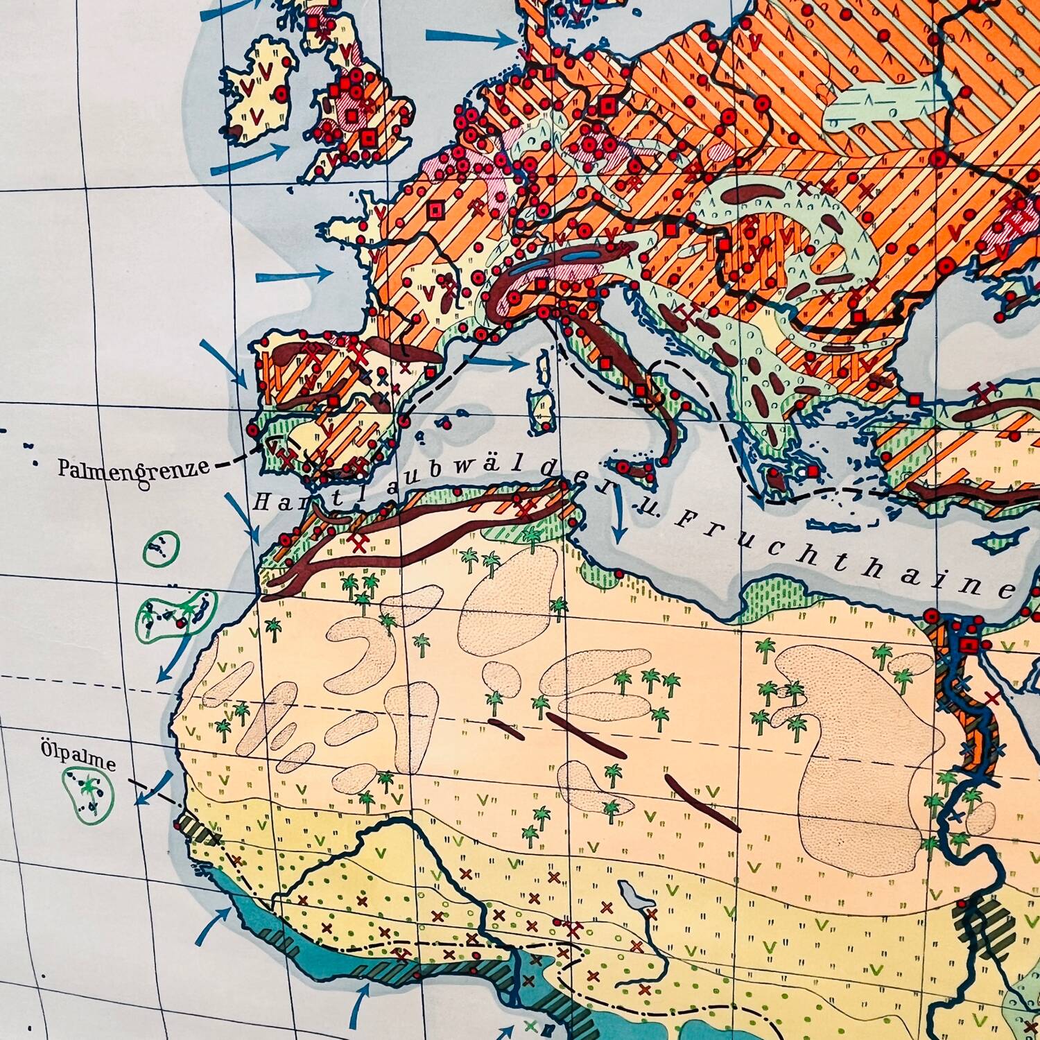 Educational map “the types of landscapes of the earth”