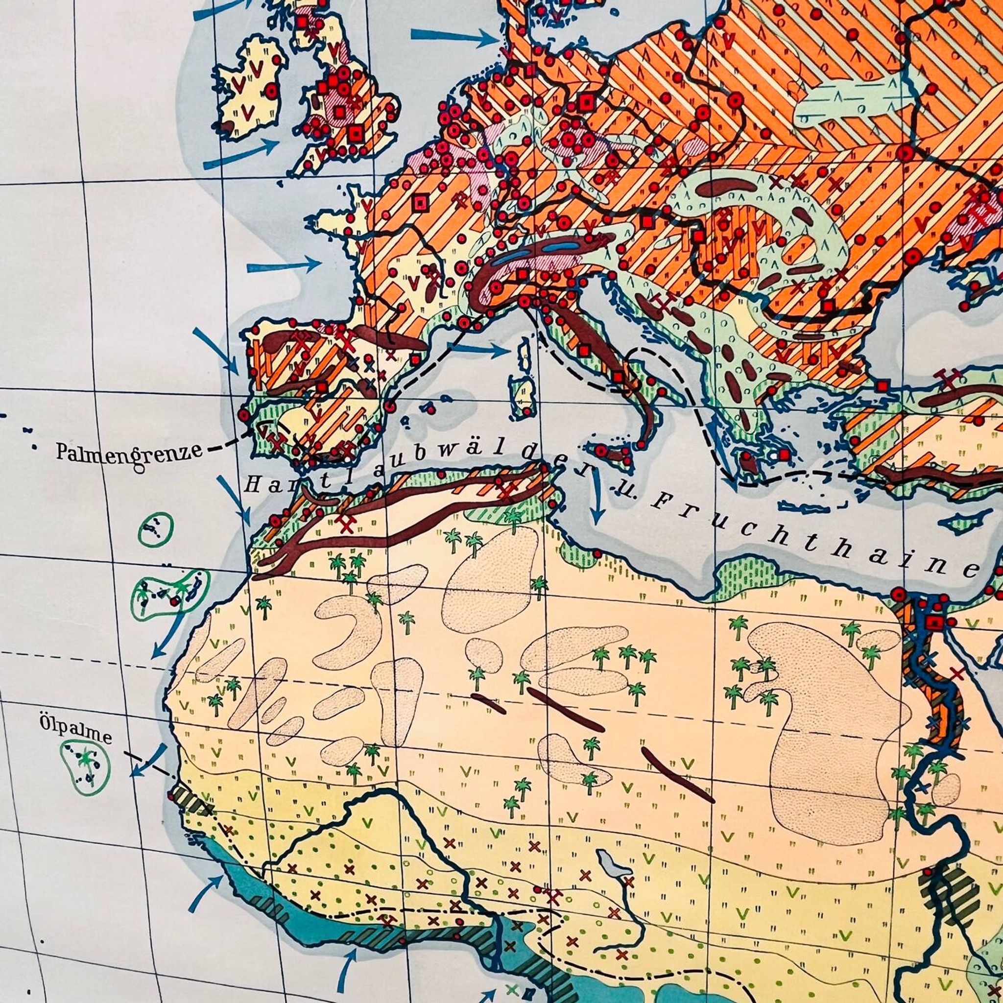 Educational map “the types of landscapes of the earth”