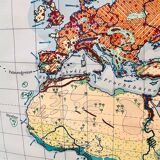 Educational map “the types of landscapes of the earth”