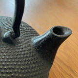 Japanese cast iron teapot