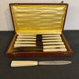Set of 12 ivory-handled knives in its case