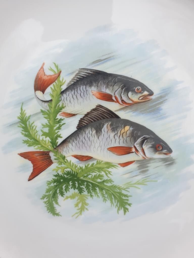 Set 12 plates porcelain fish edge laurel gold Bernardaud