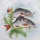 Set 12 plates porcelain fish edge laurel gold Bernardaud