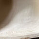 Perroquet en terre cuite Art Deco - Sevres