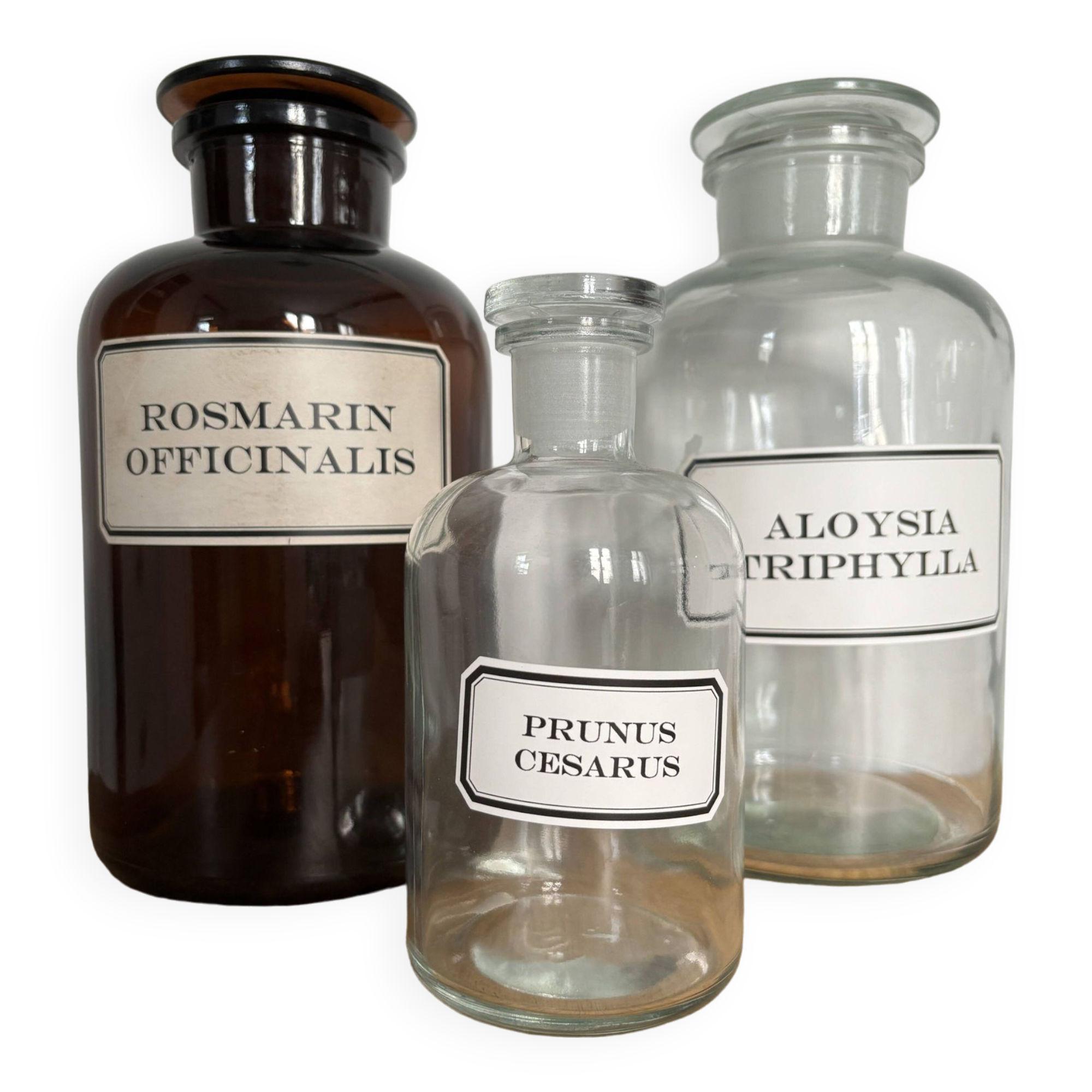 Apothecary bottles - vintage