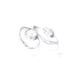 Madeleines, dessin original