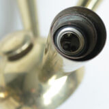 Italian Brass Star Burst Flush Mount in the manner of Arredoluce