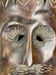 Wooden tribal mask