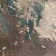 Antique painting, still life with lilacs and peonies signed Van der Berg circa 1950