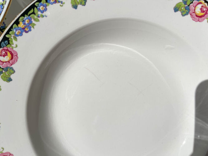 8 assiettes creuses en porcelaine opaque Digoin motif fleuris "3984" ~