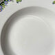 8 Digoin opaque porcelain soup plates with floral pattern "3984" ~