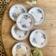 Set of 6 old dessert plates - Flore de Sarreguemines