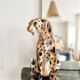 Vintage ceramic leopard