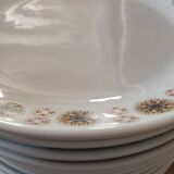 12 assiettes en porcelaine de Chauvigny