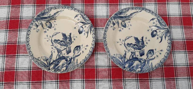 Set of 6 antique ironstone plates