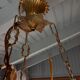 Old white opaline chandelier, brass and earthenware