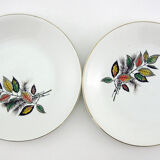 6 flat porcelain plates - foliage decoration Sous-Bois - Digoin & Sarreguemines France