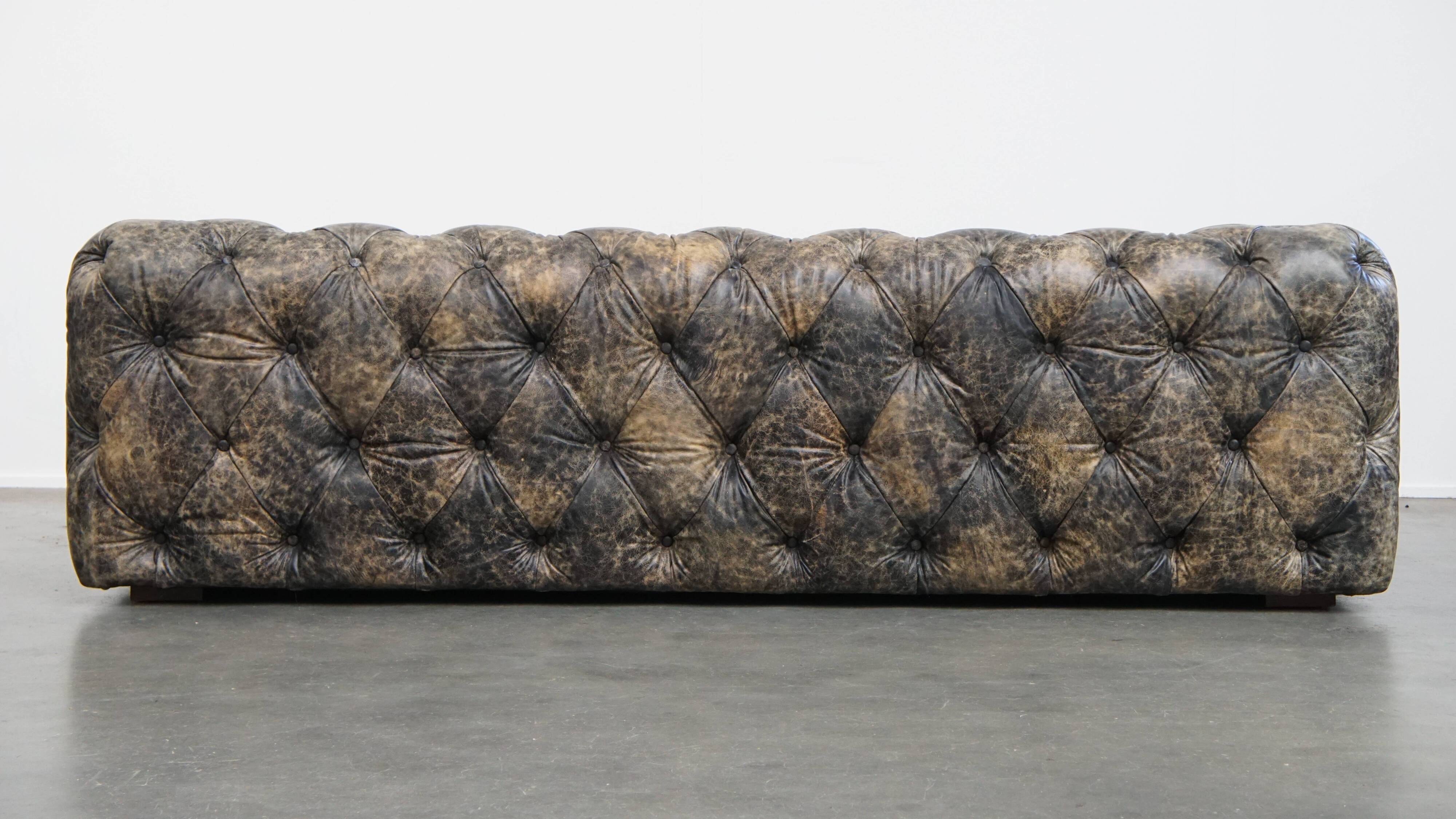 Chesterfield cowhide sofa