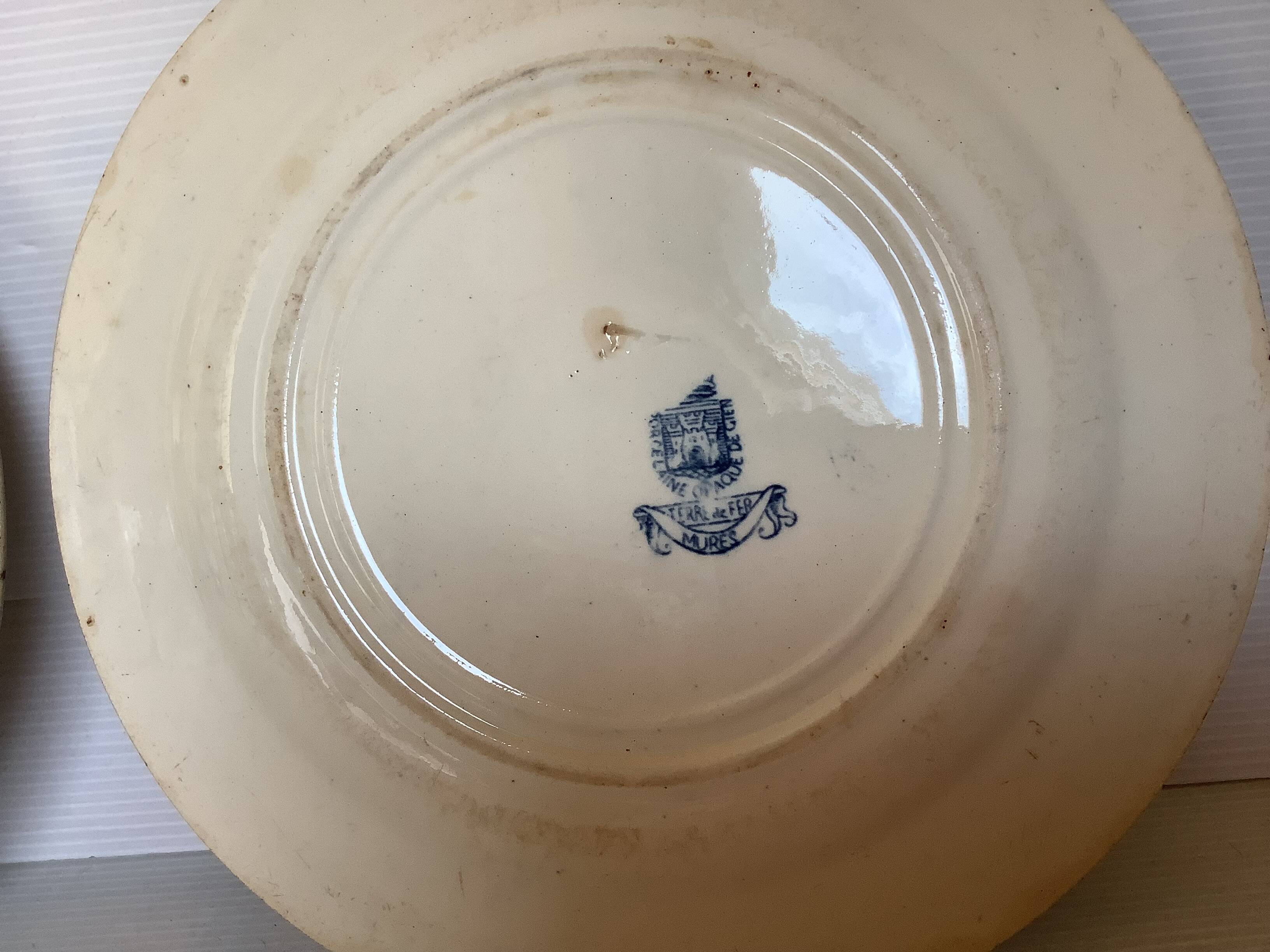 Pair of old mature ironstone plates