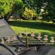 Large Aulica Menorah/Jewish Candlestick with 9 lights. In gold-plated metal.