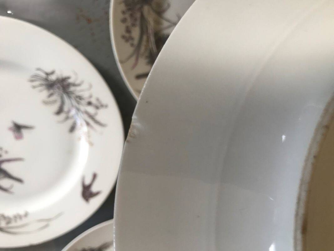 5 dessert plates porcelain gold medals exp 1867 1978 birds