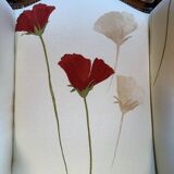 Louis XV style ear chair