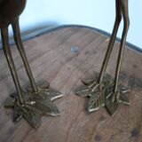 Herons or brass wader birds