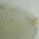 vintage kaiser ice glass ceiling LAMP flush mount 60/70's relief surface