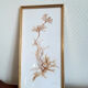 Pair of signed herbarium frames