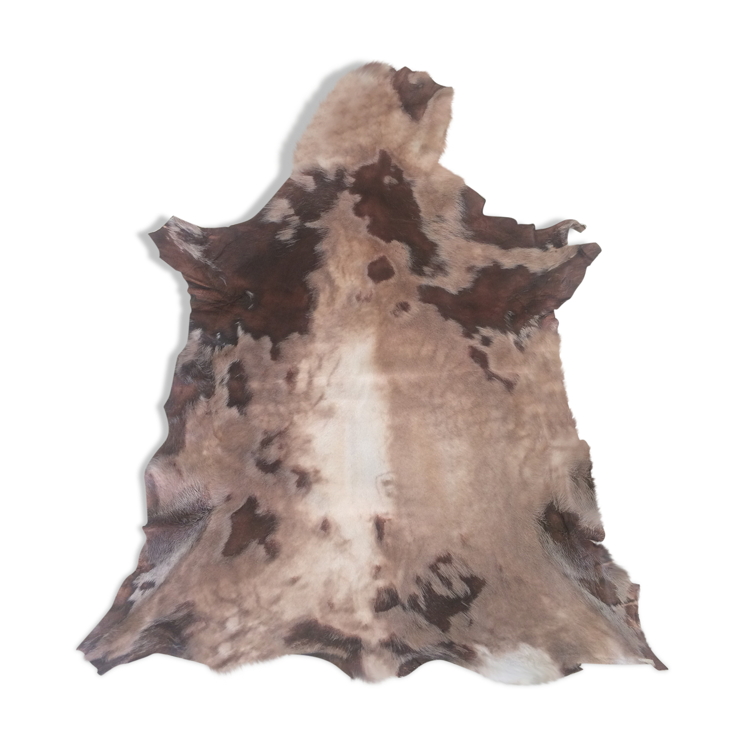 Skin several shades goat