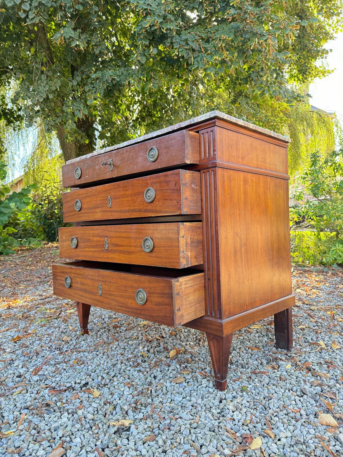 Louis XVI Style Mahogany Chest of Drawers, 19th Century