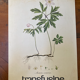 Botanical poster Anemone nemorosa