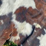 Tapis Véritable Peau de Vache