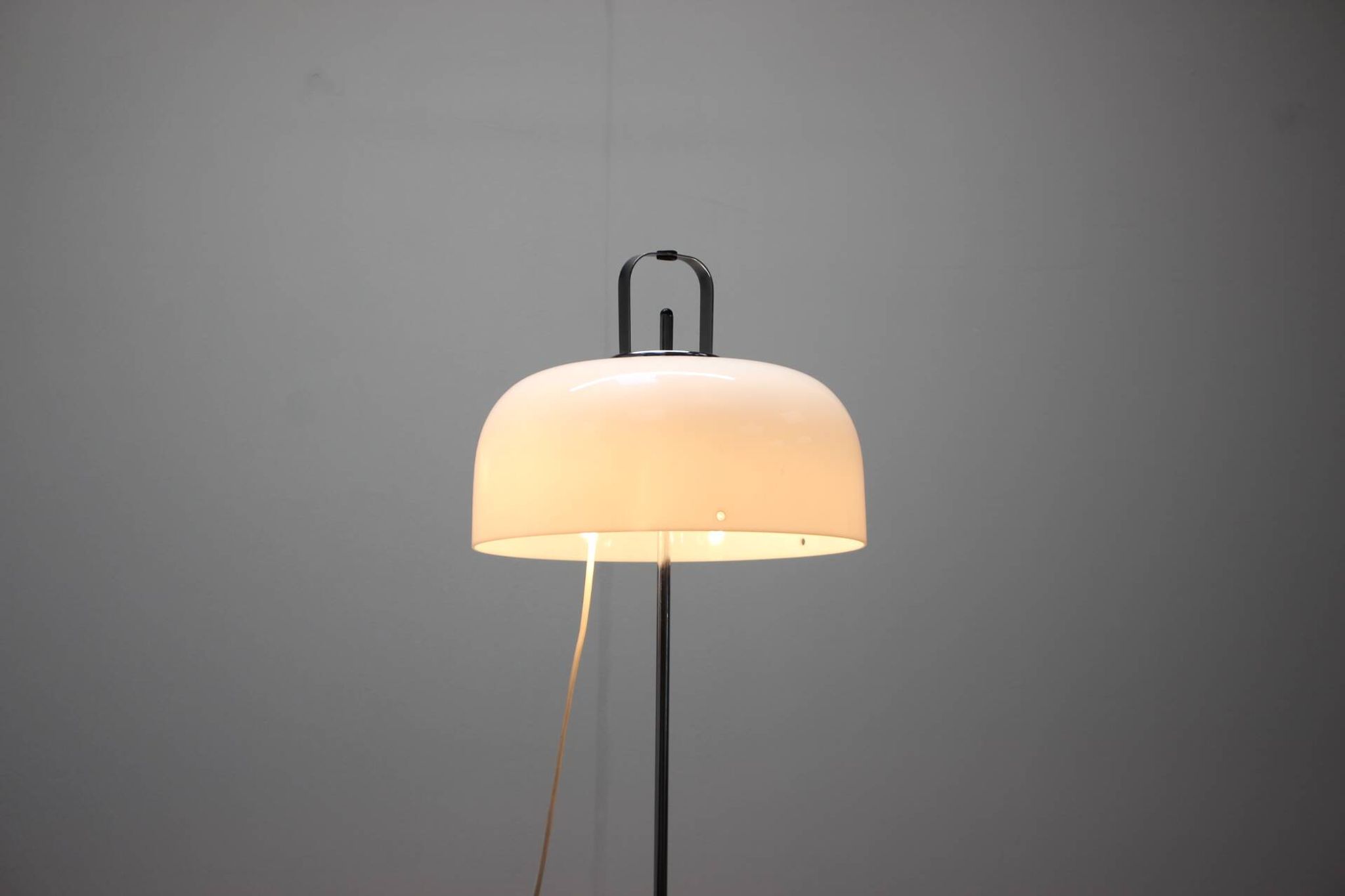 Mid-Century Floor Lamp Medusa by Luigi Massoni for Guzzini, 1970s, Italy
