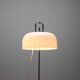 Mid-Century Floor Lamp Medusa by Luigi Massoni for Guzzini, 1970s, Italy