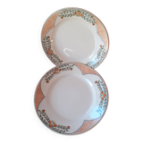 2 dishes enamel decoration Longwy. Model Antibes.