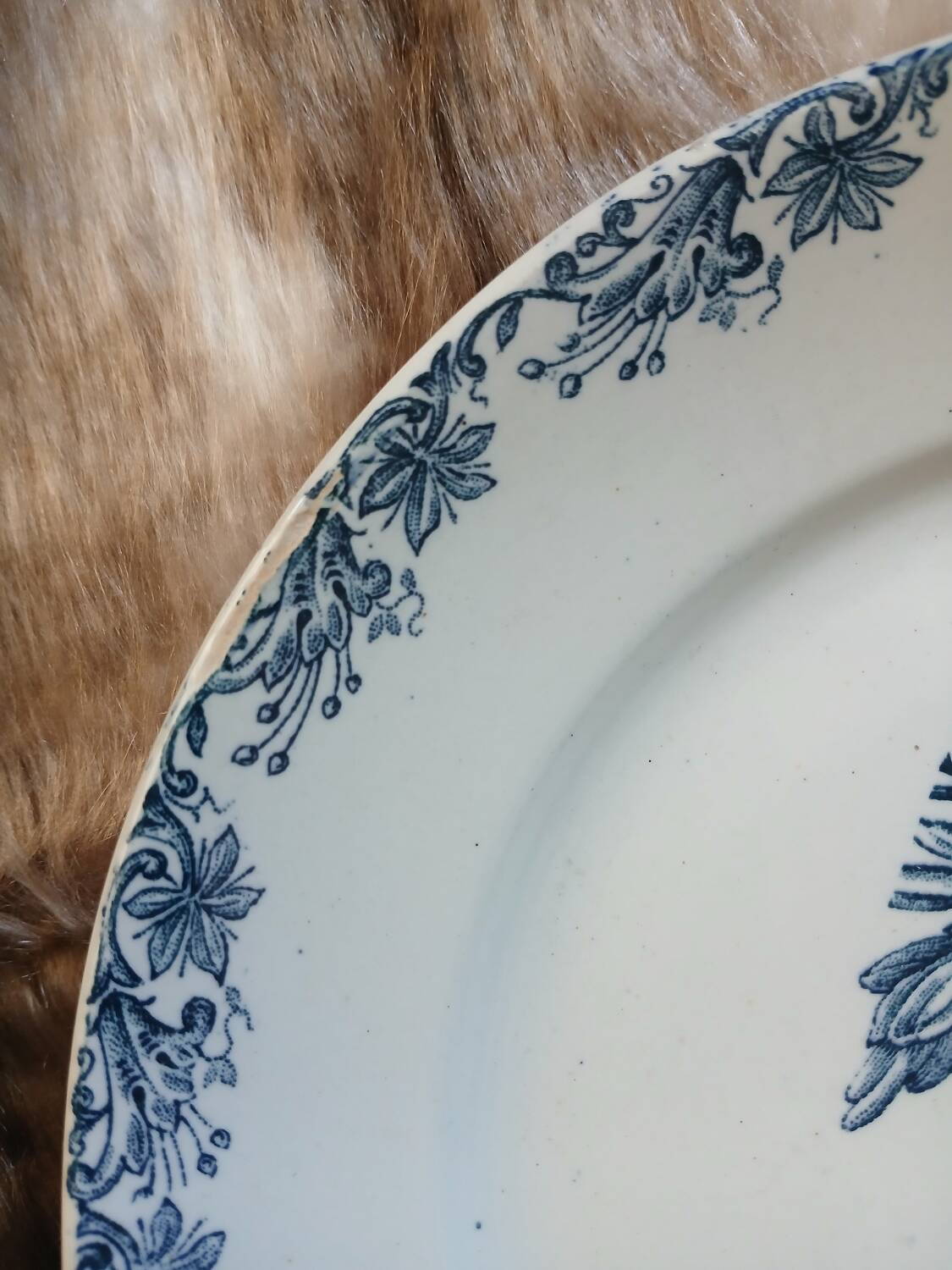 11 antique ironstone plates "Flora"