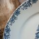 11 antique ironstone plates "Flora"