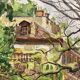 Aquarelle Maison aux Iris
