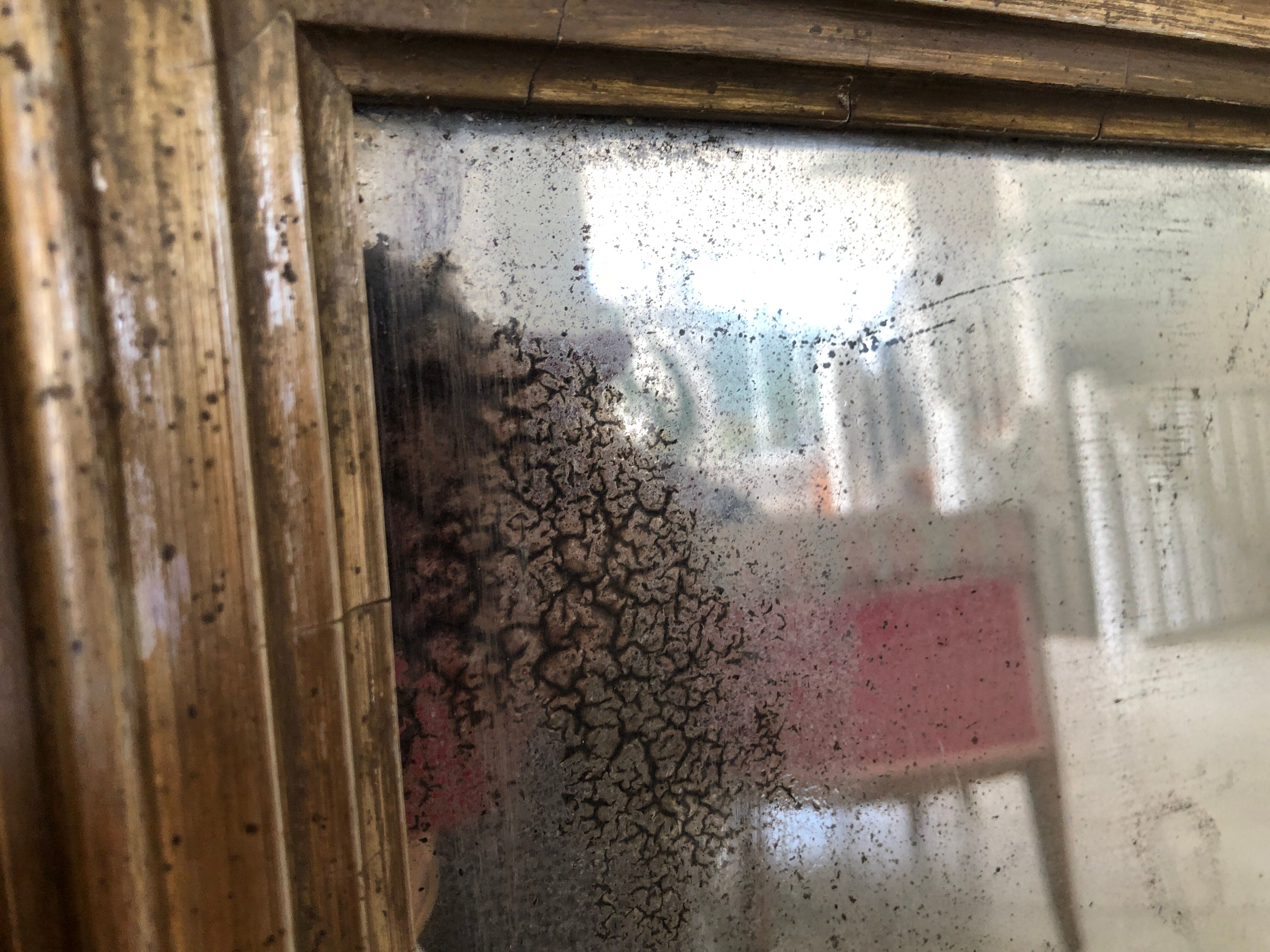 Mirror Louis Philippe