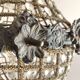 Empire-style hot air balloon chandelier with 6 lights and crystal drops