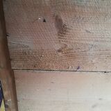 Mirror 1920 - 50x68cm