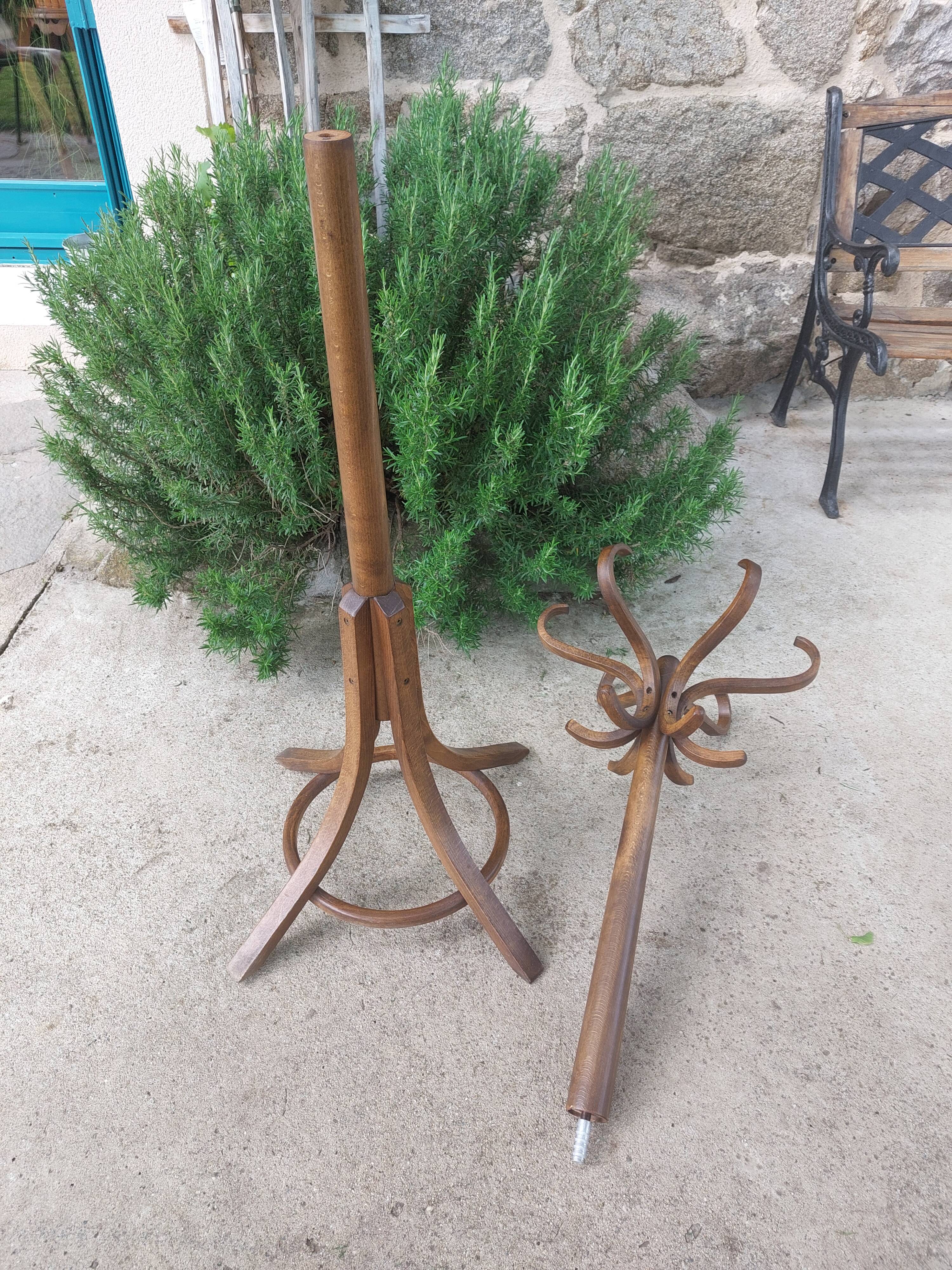 coat rack parrot solid wood, Baumann style